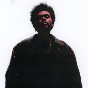 Meet your Posher, Dominique